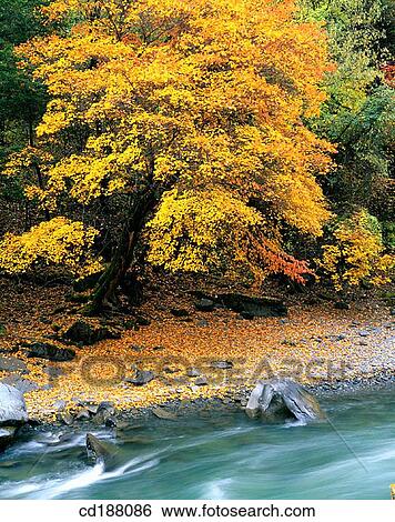 Stock Photograph - Miyaluo. Sichuan. China. Fotosearch
