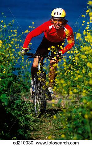 Stock Image - Mountain biker climbs a hill. Fotosearch
