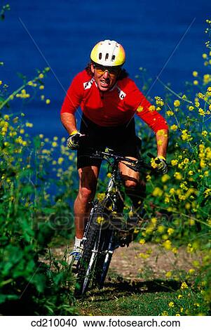 Mountain biker climbs a hill View Large Photo Image Stock Image - Mountain biker climbs a hill. Fotosearch