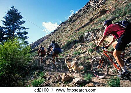 Mountain bikers and a dog View Large Photo Image Stock Photo - Mountain bikers and a dog. Fotosearch