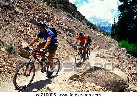 Mountain bikers riding up a hill View Large Photo Image Stock Photography - Mountain bikers riding up a hill. Fotosearch