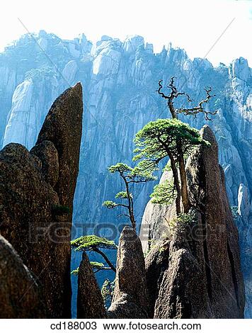 Mt. Huangshan. China View Large Photo Image Stock Image - Mt. Huangshan. China. Fotosearch