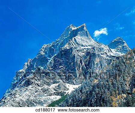 Mt. Siguniang. Sichuan. China View Large Photo Image Stock Photo - Mt. Siguniang. Sichuan. China. Fotosearch