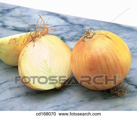 Onion View Large Photo Image Stock Image - Onion. Fotosearch