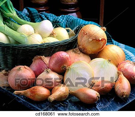 Stock Image - Onions. Fotosearch