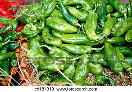 Organic farming: green peppers View Large Photo Image Stock Image - Organic farming: green peppers. Fotosearch