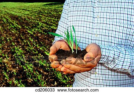 Stock Image - Organic farming. Fotosearch