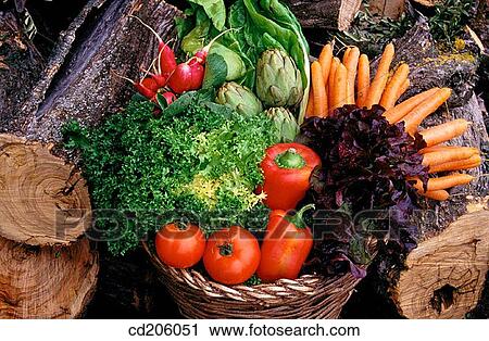Organic farming View Large Photo Image Stock Image - Organic farming. Fotosearch