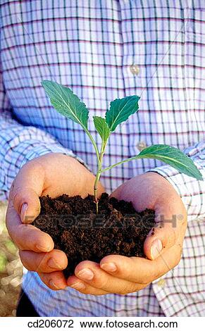 Organic farming View Large Photo Image Stock Image - Organic farming. Fotosearch