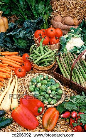Organic farming View Large Photo Image Stock Image - Organic farming. Fotosearch