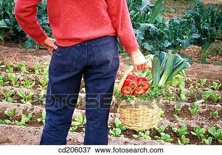 Stock Photo - Organic farming. Fotosearch