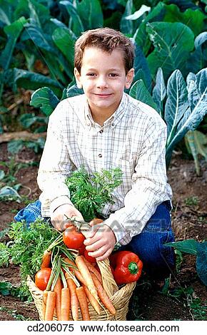 Organic farming View Large Photo Image Stock Photography - Organic farming. Fotosearch