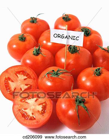Stock Photo - Organic tomatoes. Fotosearch