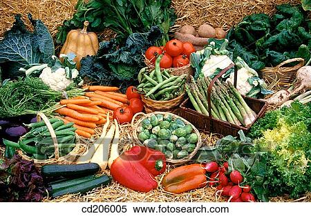 Organic vegetables View Large Photo Image Stock Photography - Organic vegetables. Fotosearch