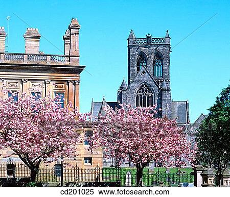 Paisley Abbey. Paisley. Renfrewshire. Scotland View Large Photo Image Stock Photography - Paisley Abbey. Paisley. Renfrewshire. Scotland. Fotosearch