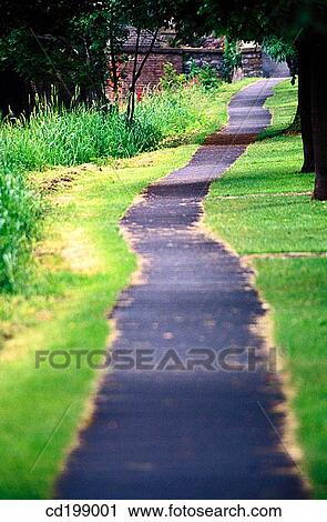 Path in gardens View Large Photo Image Stock Image - Path in gardens. Fotosearch