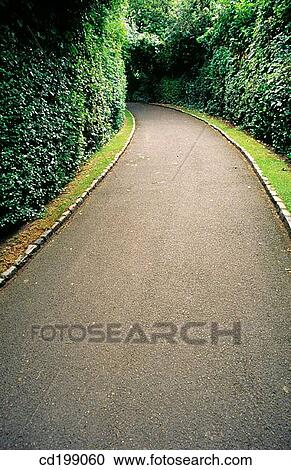 Path in gardens View Large Photo Image Stock Image - Path in gardens. Fotosearch