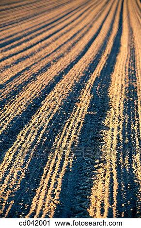 Stock Image - Plowed fields. Fotosearch