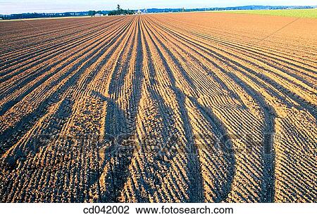 Plowed fields View Large Photo Image Stock Image - Plowed fields. Fotosearch