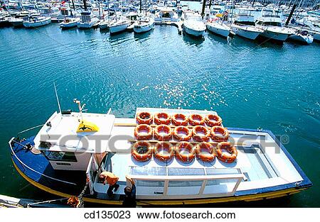 Port. Hendaye. France View Large Photo Image Stock Image - Port. Hendaye. France. Fotosearch
