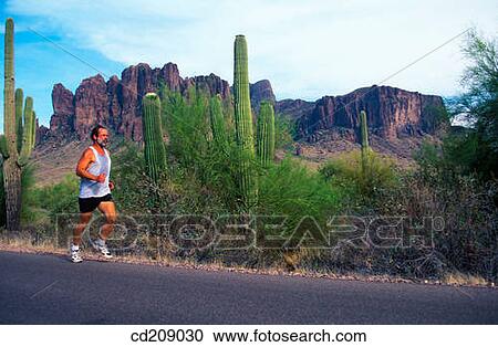 Runner with cactus View Large Photo Image Stock Image - Runner with cactus. Fotosearch