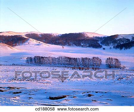 Stock Photo - Saihanba. China. Fotosearch