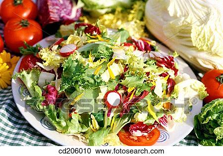 Salad View Large Photo Image Stock Image - Salad. Fotosearch