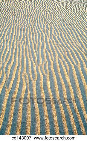 Stock Photo - Sand dunes. Fotosearch