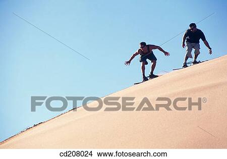 Picture - Sandboarding on a sand dune. Fotosearch