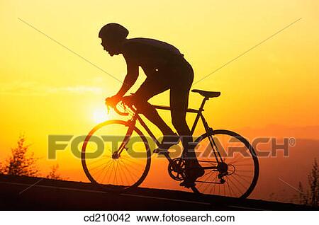 Silhouette of a road biker View Large Photo Image Stock Image - Silhouette of a road biker. Fotosearch