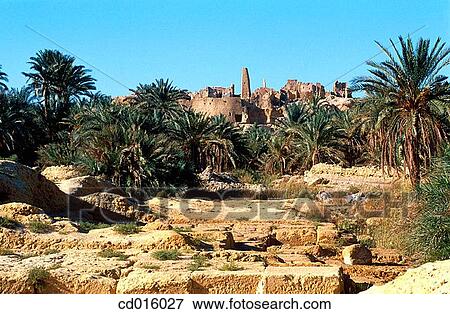 Siwa oasis, Lybian desert. Egypt View Large Photo Image Stock Photo - Siwa oasis, Lybian desert. Egypt. Fotosearch