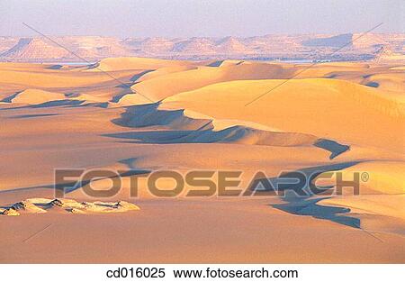Siwa oasis, Lybian desert. Egypt View Large Photo Image Stock Photography - Siwa oasis, Lybian desert. Egypt. Fotosearch