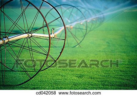 Stock Photo - Sod farm, irrigation. Fotosearch