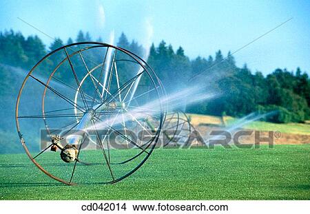 Sod fields, irrigation View Large Photo Image Picture - Sod fields, irrigation. Fotosearch