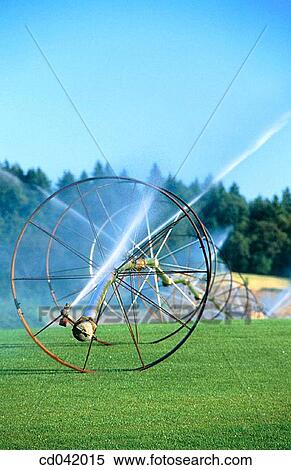 Stock Photography - Sod fields, irrigation. Fotosearch