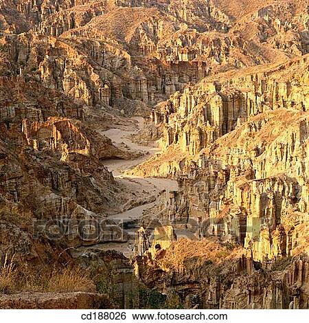 Soil Forest. Yunnan. China View Large Photo Image Stock Photograph - Soil Forest. Yunnan. China. Fotosearch
