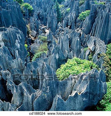 Stone Forest. Yunnan. China View Large Photo Image Picture - Stone Forest. Yunnan. China. Fotosearch