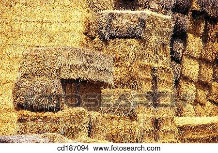 Picture - Straw. Fotosearch
