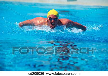 Swimmer doing the butterfly stroke View Large Photo Image Stock Photograph - Swimmer doing the butterfly stroke. Fotosearch