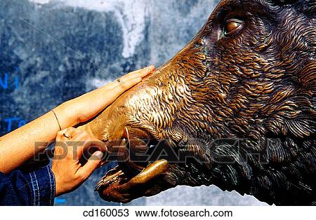 Touching? Il Porcellino? for luck at the Mercato Nuovo. Florence. Italy View Large Photo Image Stock Image - Touching? Il Porcellino? for luck at the Mercato Nuovo. Florence. Italy. Fotosearch