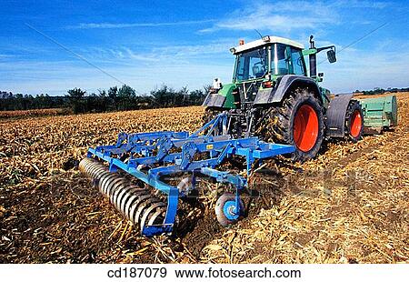 Tractor in corn field View Large Photo Image Stock Photo - Tractor in corn field. Fotosearch