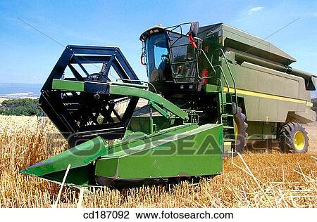 Wheat harvest View Large Photo Image Stock Image - Wheat harvest. Fotosearch