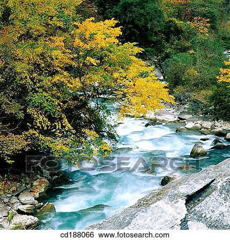 Stock Photograph - Wolong. Sichuan. China. Fotosearch