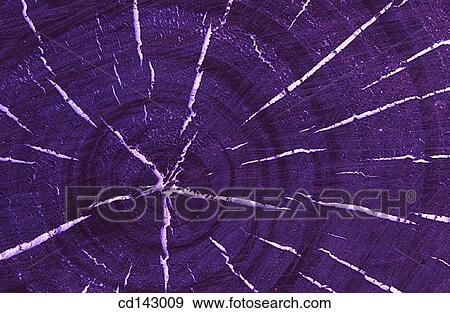 Wood View Large Photo Image Stock Photo - Wood. Fotosearch