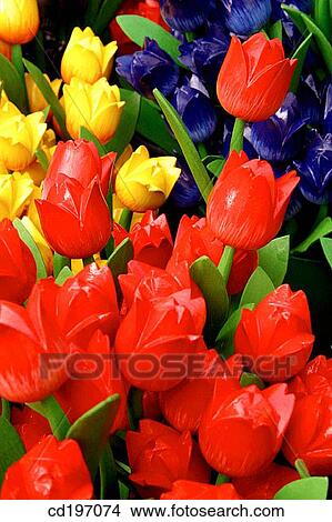 Wooden tulips. Amsterdam. Holland View Large Photo Image Picture - Wooden tulips. Amsterdam. Holland. Fotosearch