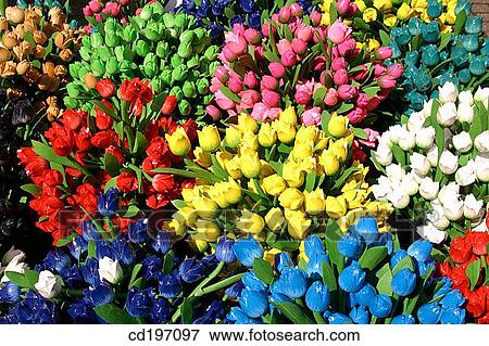 Stock Photo - Wooden tulips. Holland. Fotosearch