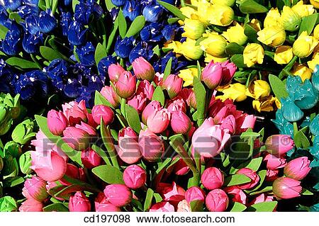 Wooden tulips. Holland View Large Photo Image Stock Photo - Wooden tulips. Holland. Fotosearch