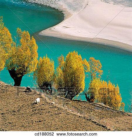 Yalu Tsangpo River. Tibet View Large Photo Image Stock Image - Yalu Tsangpo River. Tibet. Fotosearch