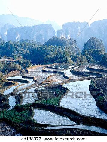 Zhangjiajie. China View Large Photo Image Stock Photo - Zhangjiajie. China. Fotosearch