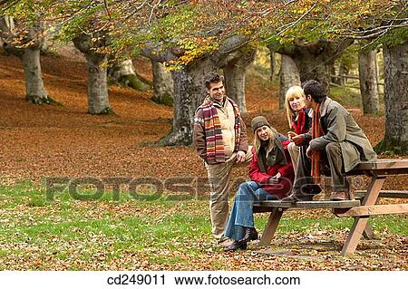 30's, bench, autumn, 20's View Large Photo Image Stock Image - 30's, bench, autumn, 20's. Fotosearch